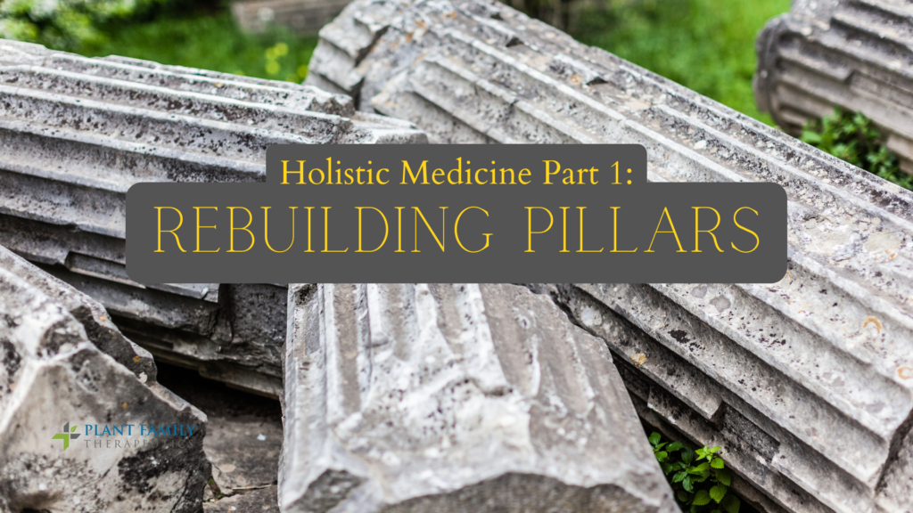 Holistic Medicine Part 1: Rebuilding Pillars