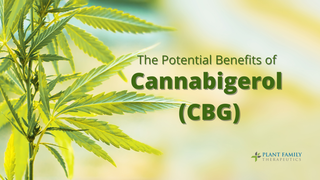The Potential Benefits of Cannabigerol (CBG)