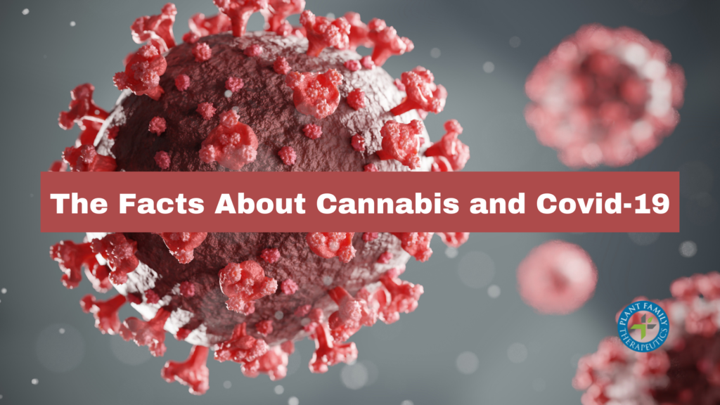 The Facts About Cannabis & Covid-19
