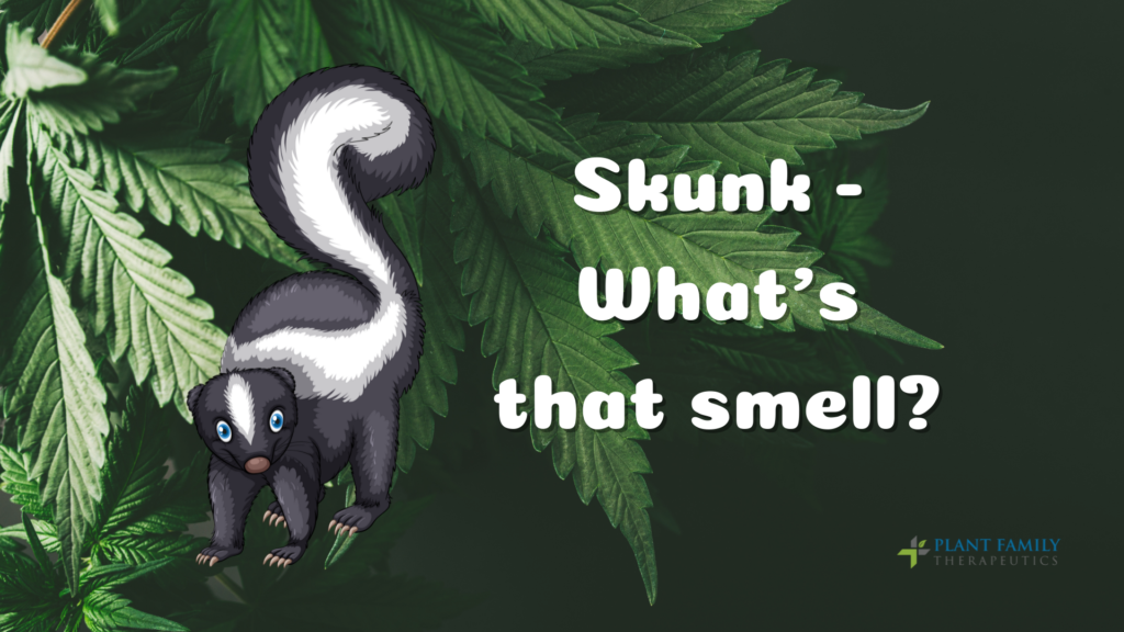 Skunk - What's that smell?