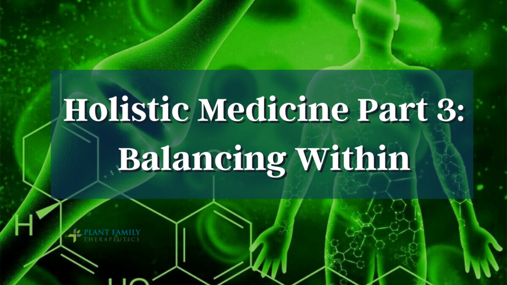 Holistic Medicine Part 3: Balancing within