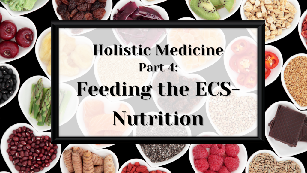 Holistic Medicine Part 4: Feeding the ECS - Nutrition