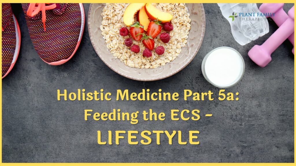 Holistic Medicine Part 5a: Feeding the ECS – Lifestyle