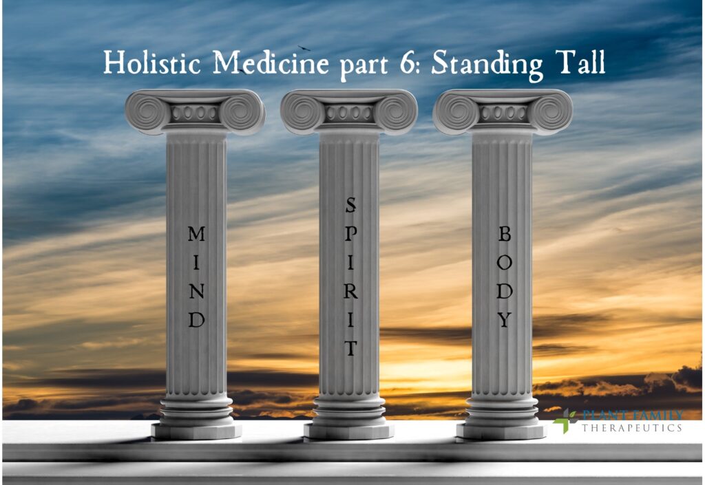 Holistic Medicine Part 6: Standing Tall - Fibromyalgia
